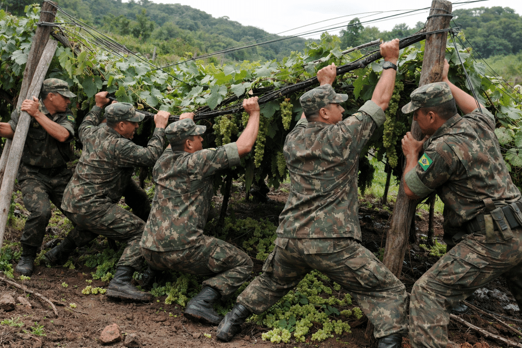 Soldados do Exército salvando parreiral (Imagem meramente ilustrativa, criada por Inteligência Artificial )