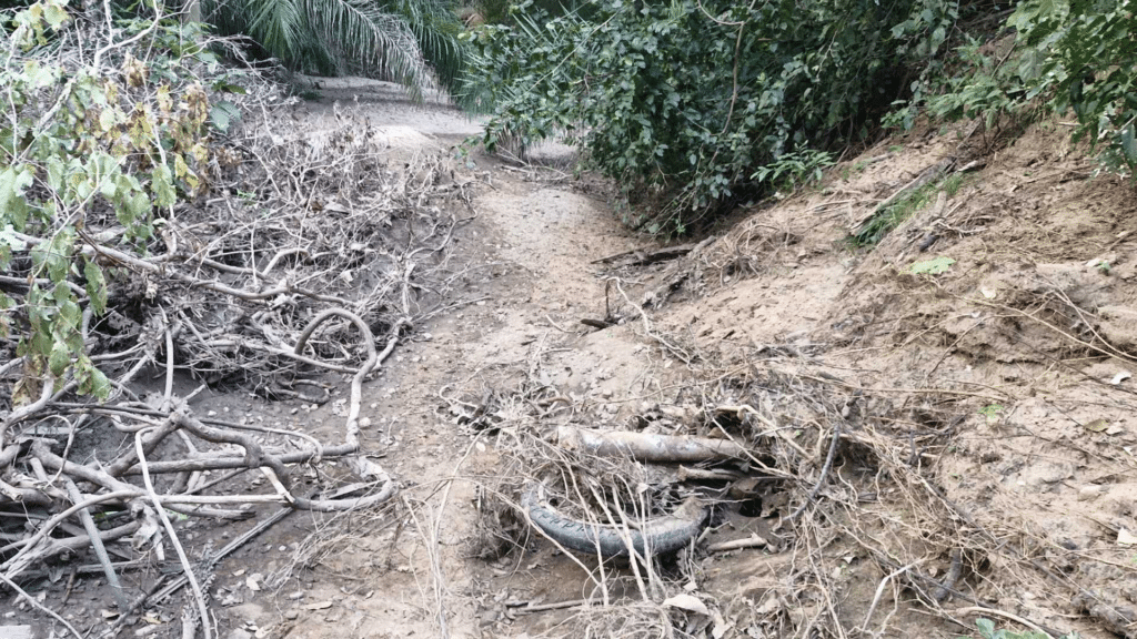 Fazendeiro achou ossada e carcaça de motocicleta. (Foto: Divulgação, PCMS)