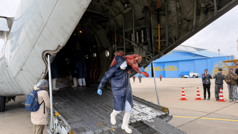 C-130 com carne é descarregado em Santa Cruz de la Sierra – Foto: Fuerza Aerea Boliviana