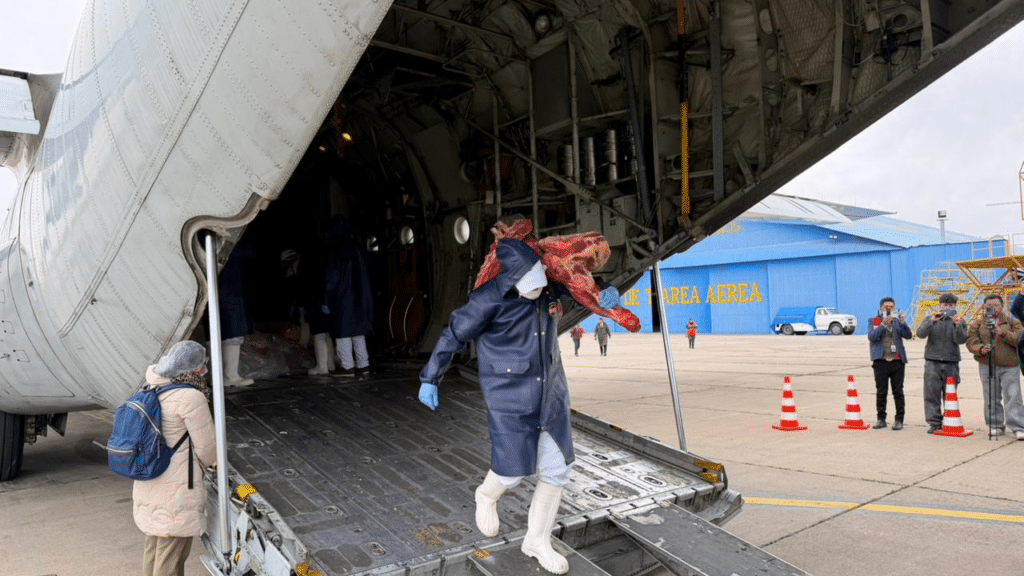 C-130 com carne é descarregado em Santa Cruz de la Sierra – Foto: Fuerza Aerea Boliviana
