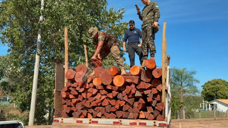 Operação Timber Shield - apreensão de drogas na fronteira