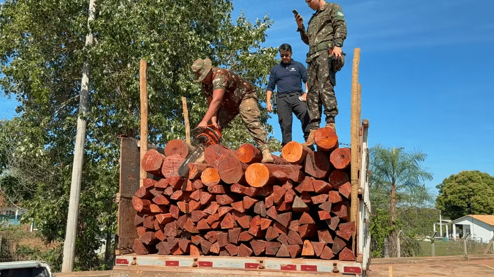 Operação Timber Shield - apreensão de drogas na fronteira
