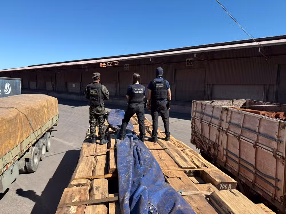 Operação Timber Shield - apreensão de drogas na fronteira