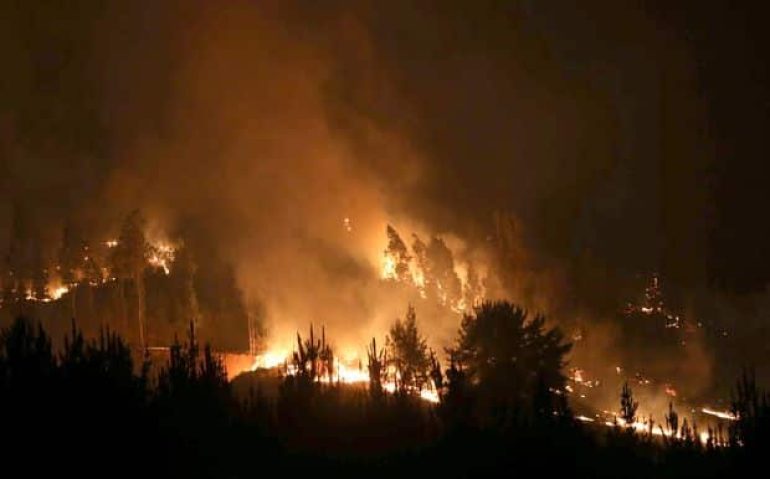 A forest fire burns in the town of Empedrado, in the Maule region, Chile