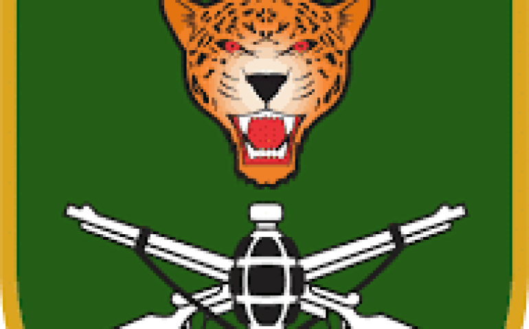 53 BIS