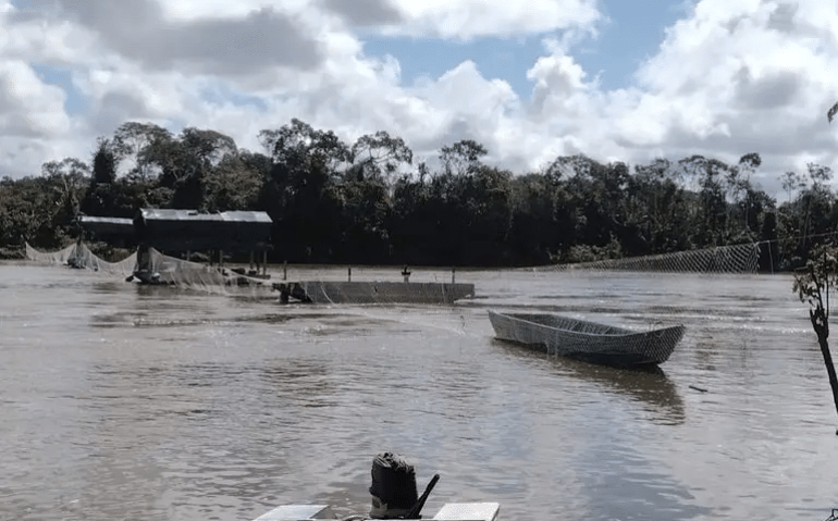 Rio Uraricoera, em Roraima, local em que o crime aconteceu; na imagem, a base que o governo federal tem na região (Ibama/Reprodução)