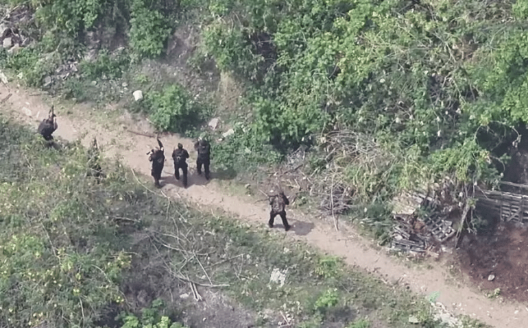 Policiais em confrontos com traficantes do Comando Vermelho em área próxima da mata durante a megaoperação nos Complexos da Penha e Alemão — Foto: Fotos de divulgação/Governo do Rio