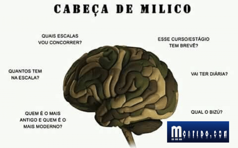 CABEC387ADEMILICO