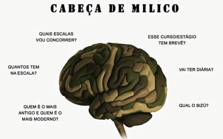 CABEÇA DE MILICO