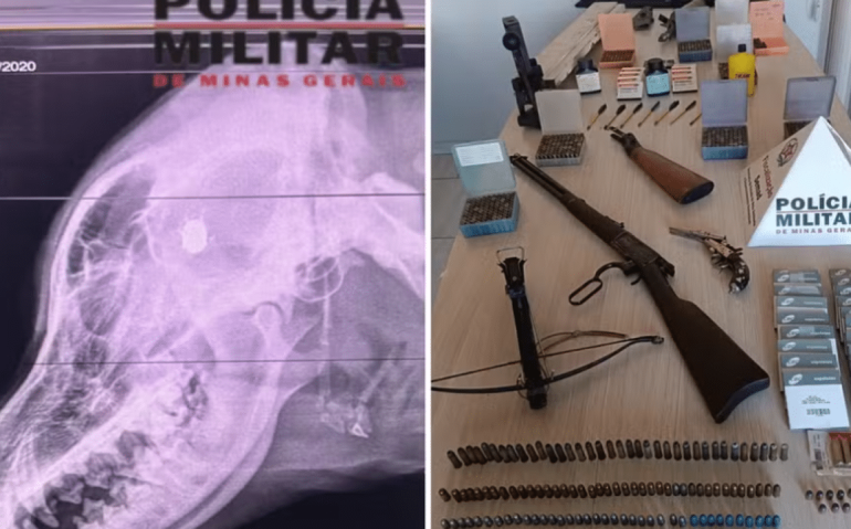 Sul de MG: PM é preso após matar cadela de vizinha