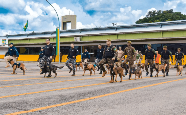 CÃES HOMENAGEADOS NO CMP
