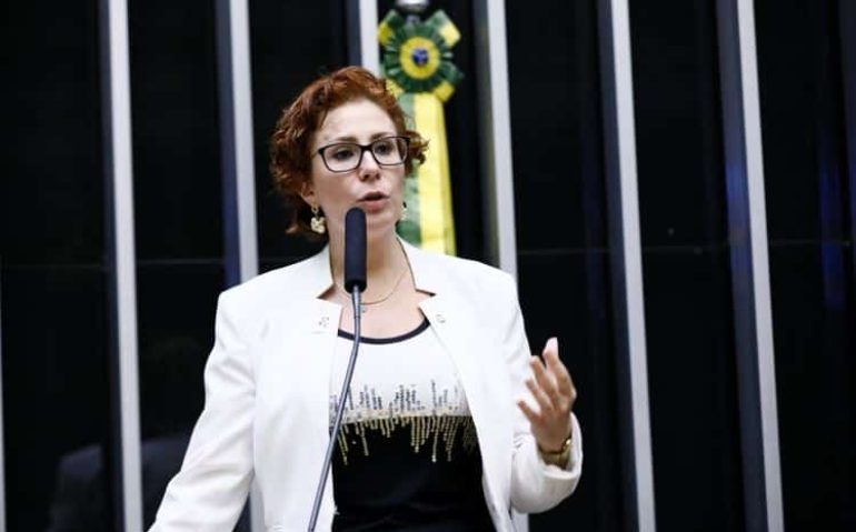 A deputada Carla Zambelli no plenário da Câmara
Foto: Luis Macedo/Câmara dos Deputados (14.mai.2019)