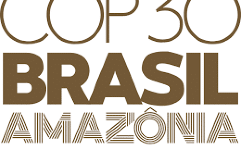 COP 30