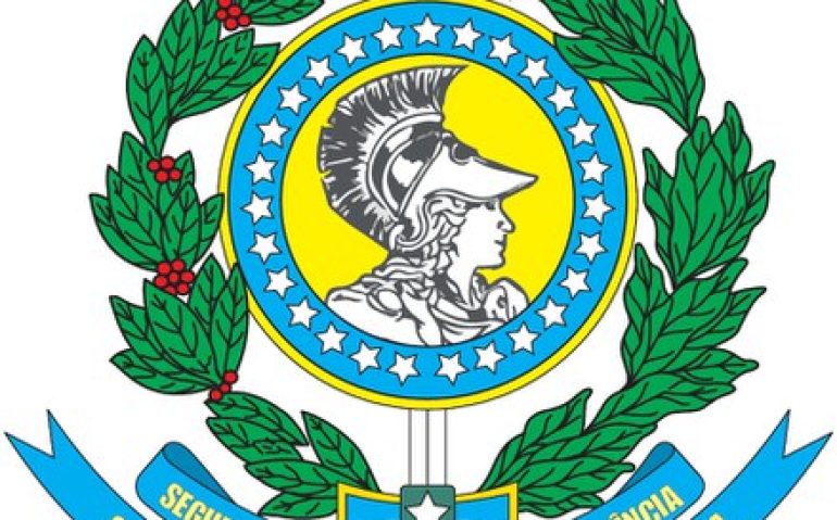 Escudo GSI