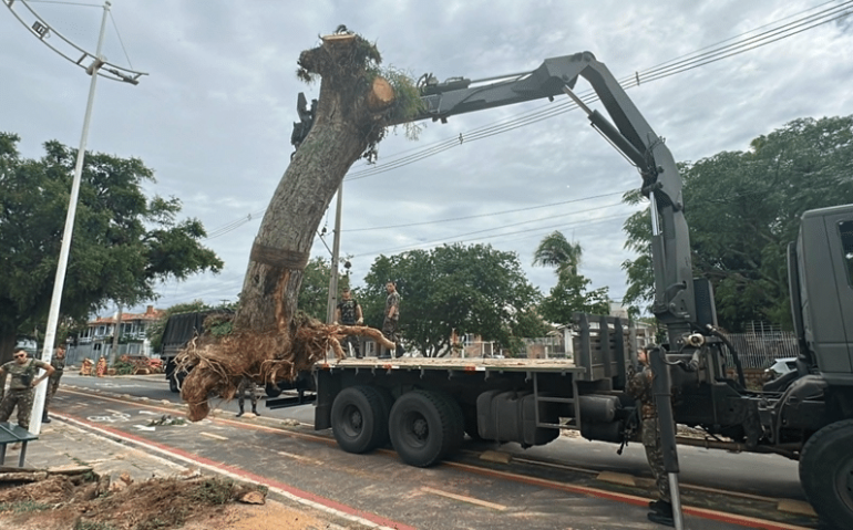 Exército poda árvores em Porto Alegre