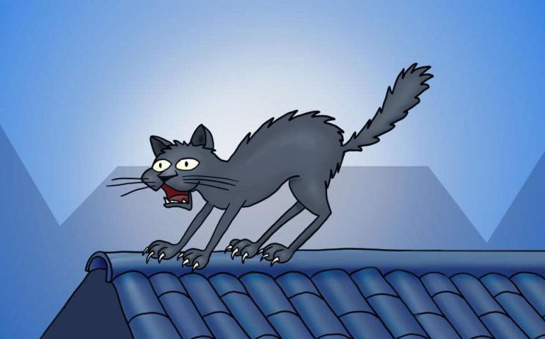 Gato-telhado