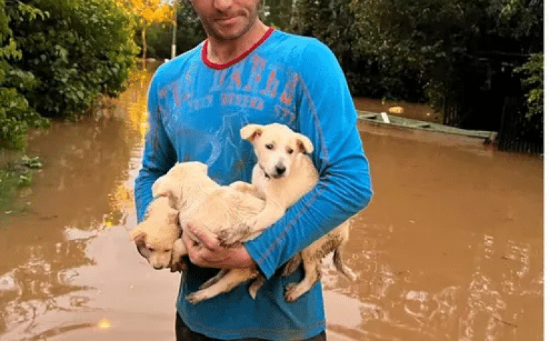 Marco Aurélio salvou três filhotes de cachorros de área alagada em São Sebastião do Caí — Foto: Jonas Campos/RBS TV (2023)