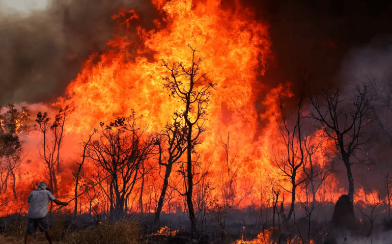 Incêndio atinge o Parque Nacional de Brasília desde domingo (15)