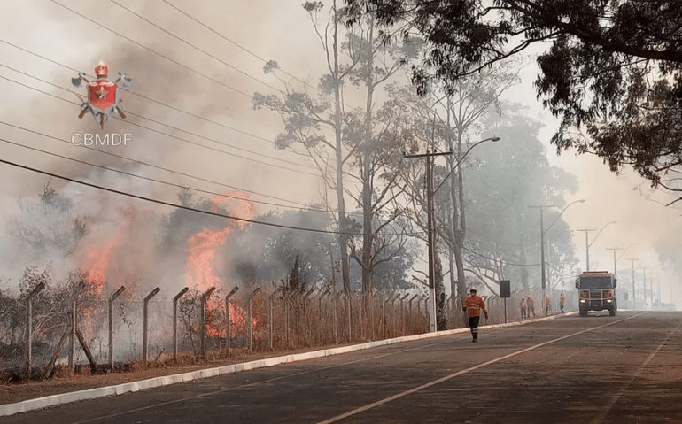 Bombeiros combatem incêndio em Área Alfa da Marinha, no DF — Foto: CBMDF/Divulgação