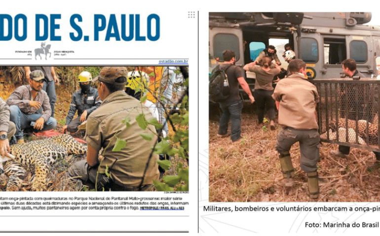 MONTAGEM