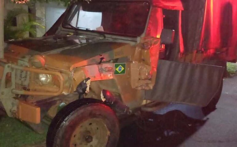 Marruá colidida contra árvore em Três Lagoas