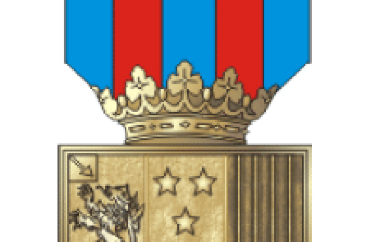 Medalha do Pacificador com Palma (Imagem: SGEx)