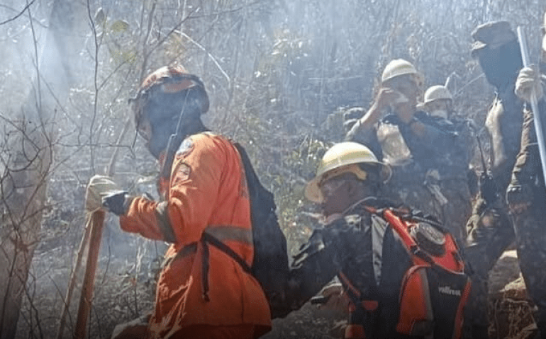 Militares combatem incêndio em área florestal de BH