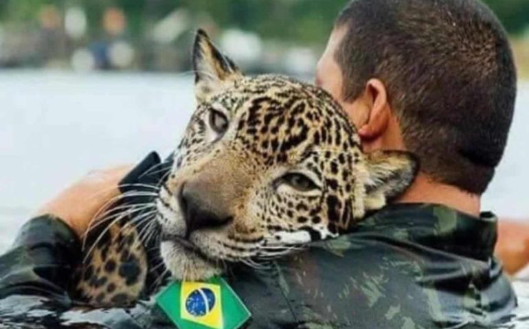 Imagem: EB