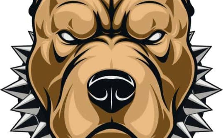 Vector illustration of a head of a spiteful pit bull, on a white background