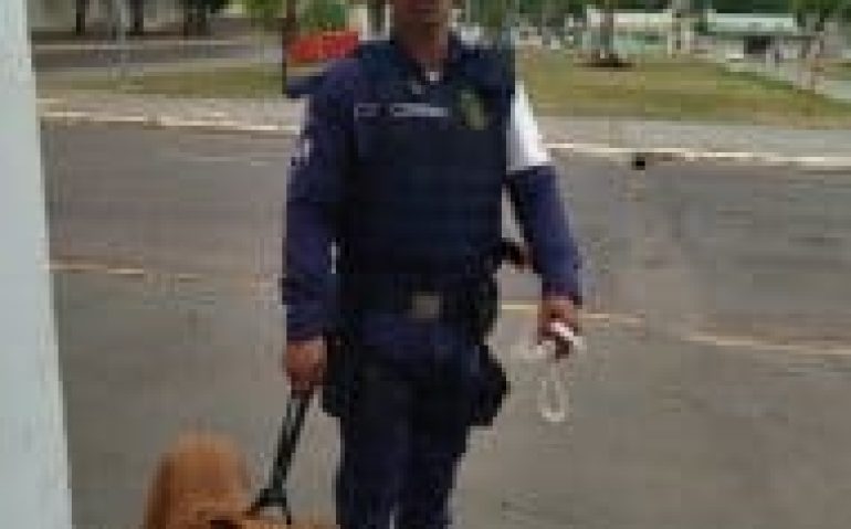 PITBULL