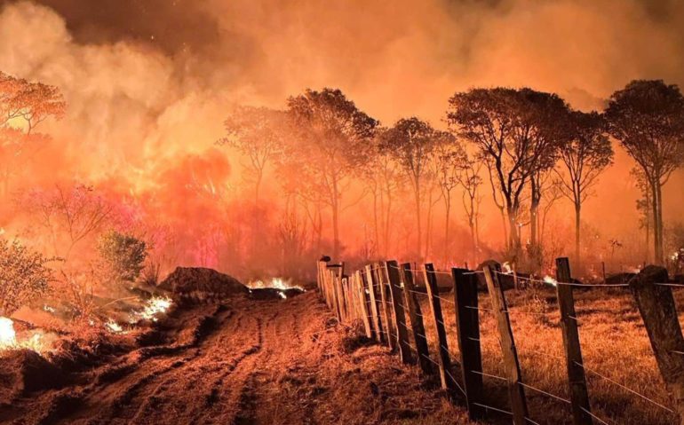 Fogo que atingiu a região pantaneira (Divulgação)