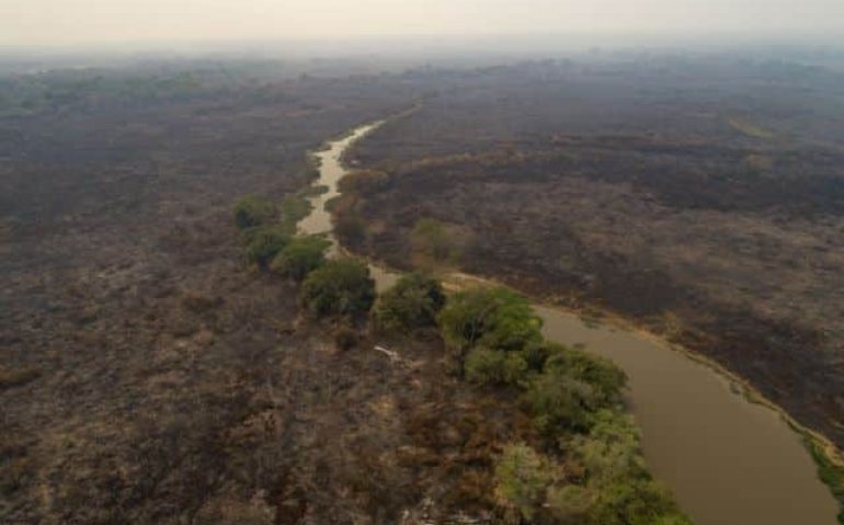 An recently burned area at the Encontro das Aguas park at the Pantanal wetlands near Pocone, Mato Grosso state, Brazil, Saturday, Sept. 12, 2020. Wildfire has infiltrated the state park, an eco-tourism destination known for its population of jaguars. (AP Photo/Andre Penner)