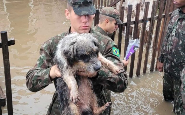 Soldado do 9º Regimento de Cavalaria Blindado, de São Gabriel (RS), resgatando um cãozinho de residência inundada pelas cheias do Rio Vacacaí (Imagem: 9º RCB -Facebook)