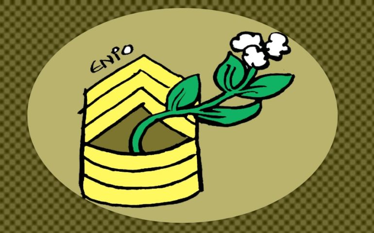 Sargento-Stephanes