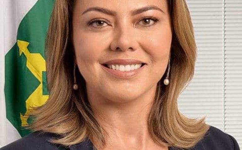 Presidente da comissão, a senadora Leila Barros é autora do requerimento para o debate
