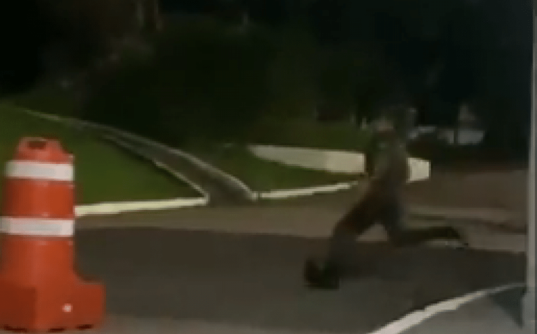 No vídeo, é possível identificar um homem que chuta o animal, não identificado, como uma bola de futebol
Reprodução