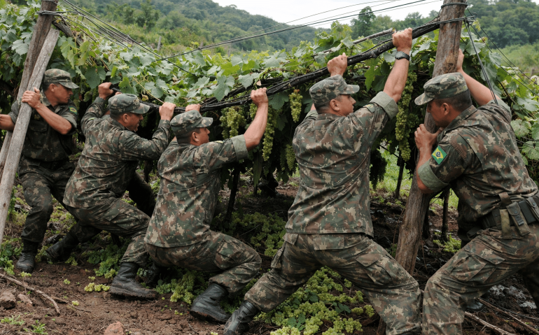 Soldados do Exército salvando parreiral (Imagem meramente ilustrativa, criada por Inteligência Artificial )