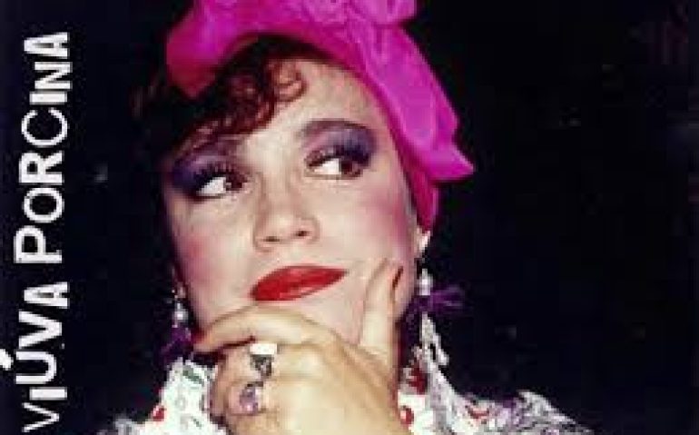 Viúva Porcina