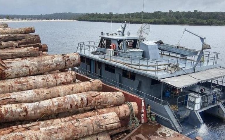 Apreensão ocorreu no Pará | Foto: Ministério da Defesa / Divulgação / CP