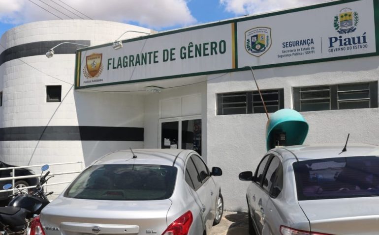 Caso foi recebido pela Central de Flagrante de Gênero de Teresina — Foto: Lucas Marreiros/G1 PI