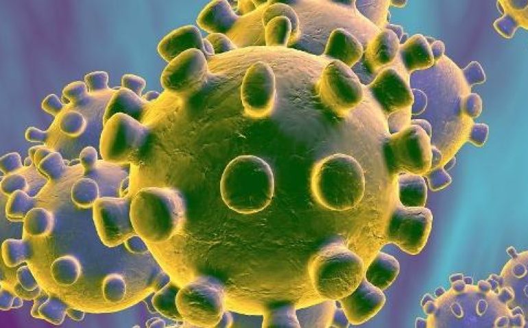coronavirus-1583951542371_v2_615x300