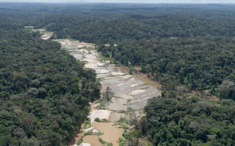 Mining pushes through and devastates the Munduruku Indigenous Land, impacting people, rivers and the forest itself, with over 240 hectares deforested between January and April 2020, a 57% increase regarding the same period the previous year. Over 70% of all mining in the Amazon between January and April 2020 took place inside protected areas. Munduruku and Sai Cinza Indigenous Lands, home to the Munduruku people, in the state of Pará, hold over 60% of all deforestation by mining registered in all Indigenous Lands in 2020. Mining has also deforested 879 hectares inside Conservation Units between January and April 2020, an 80.62% increase regarding the same period of the previous year.
O garimpo avança de modo devastador na Terra Indígena Munduruku, impactando o povo, os rios e a floresta, que foi desmatada em mais de 240 hectares apenas entre os meses de janeiro e abril de 2020, um aumento de 57%&nbsp;em relação ao mesmo período do ano anterior.Mais de 70% de todo o garimpo realizado na Amazônia entre janeiro e abril de 2020 ocorreu dentro de áreas protegidas. As terras indígenas Munduruku e Sai Cinza, do povo Munduruku, no Pará, acumulam, juntas, pouco mais de 60% de todo o desmatamento para garimpo registrado dentro de terras indígenas em 2020. O garimpo também consumiu 879 hectares de floresta dentro das Unidades de Conservação entre janeiro e abril deste ano, o que representa um aumento de 80,62%, comparado aos mesmos meses de 2019.&nbsp;&nbsp;
