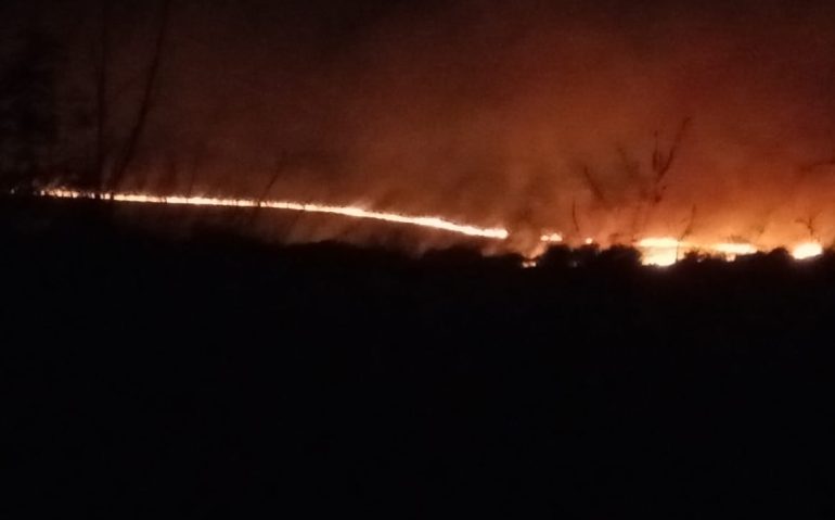 Incêndio no Campo de Instrução de Cruz ALta (Imagem: whatsapp)