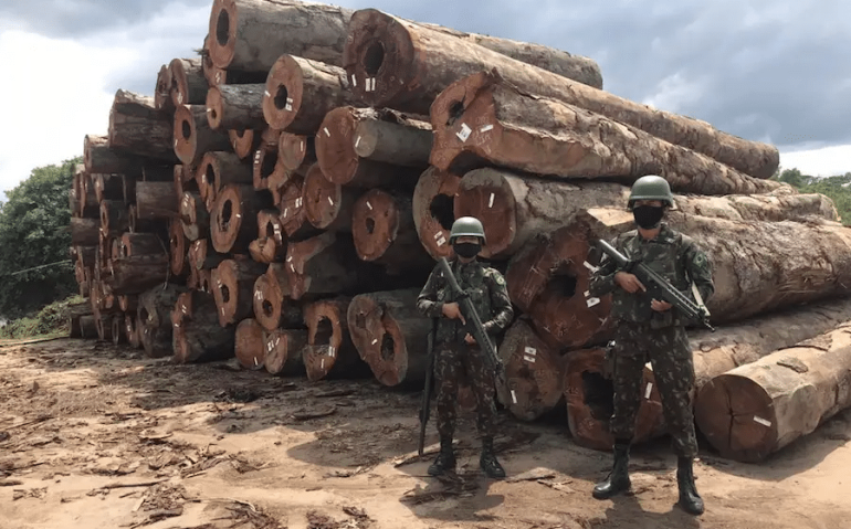 Militares do Exército ocuparam uma madeireira em Itaituba, onde apreenderam 42 mil metros cúbicos de madeira ilegal (Imagem: Forças Armadas)