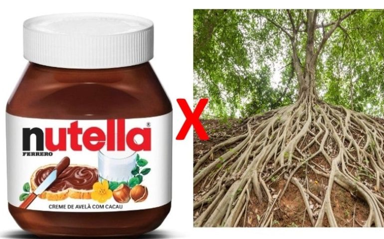 nutella x raiz