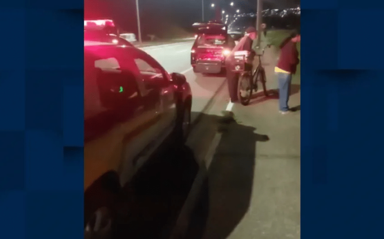 Ossada é encontrada em área do Exército, em Pouso Alegre. Imagem redes sociais.