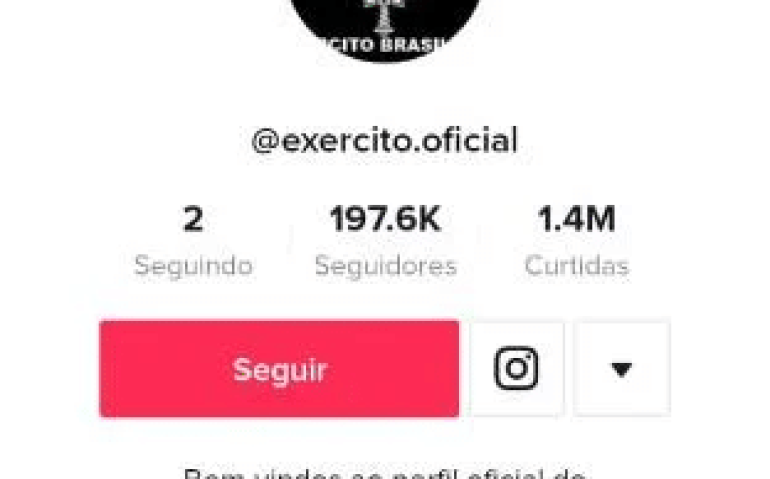 perfil falso EB tik tok