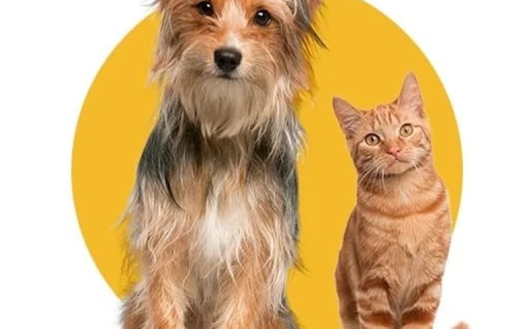 pets
