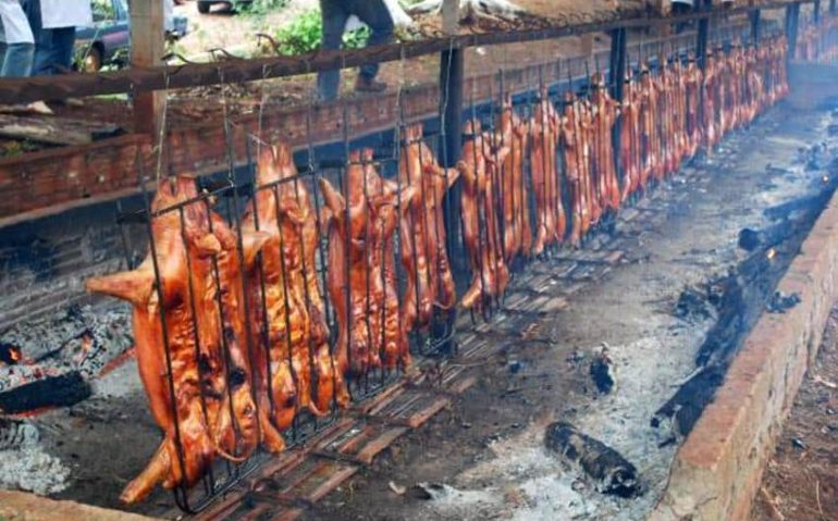 porco fogo de chão