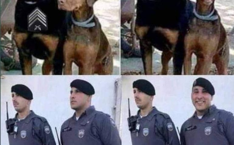recruta